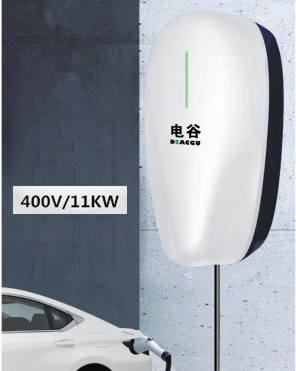 11KW Fast Electric Car Charger IP55 Wall/Post Home Car Charging Station 5m Long Cable