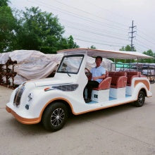11 Seaters Electric Sightseeing Bus golf carts on Sale