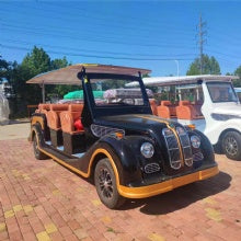 11 Seaters Electric Sightseeing Bus golf carts on Sale