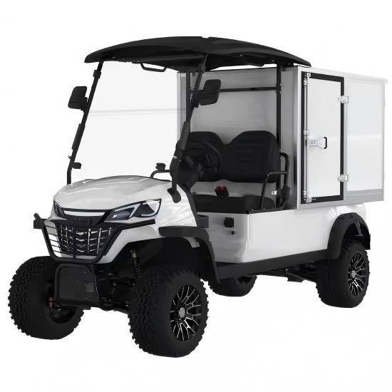 2 seaters 4WD electric golf cart with a box