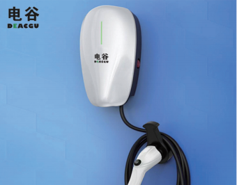 11KW Fast Electric Car Charger IP55 Wall/Post Home Car Charging Station 5m Long Cable