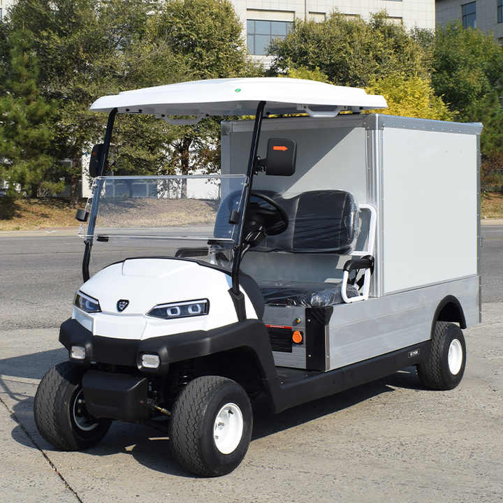 2 Seater Pickup Truck Low Speed Mini Food Golf Cargo Car