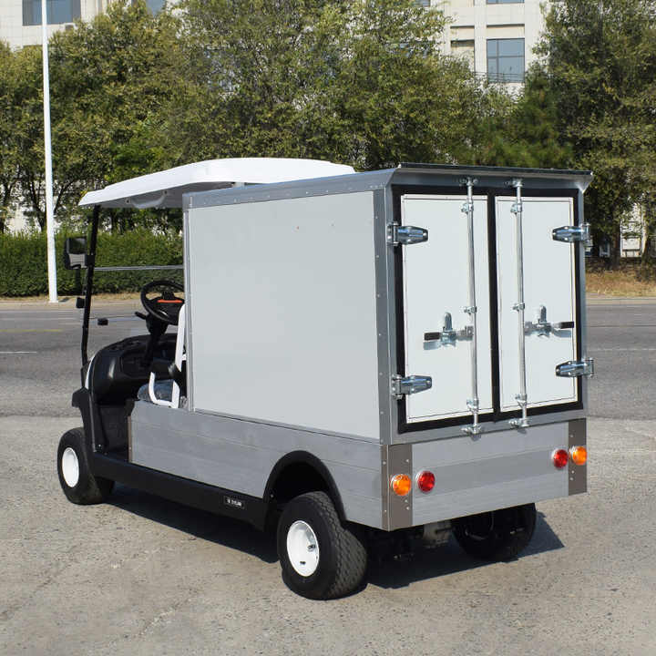 2 Seater Pickup Truck Low Speed Mini Food Golf Cargo Car