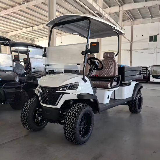 2 seater 4wd electric golf carts