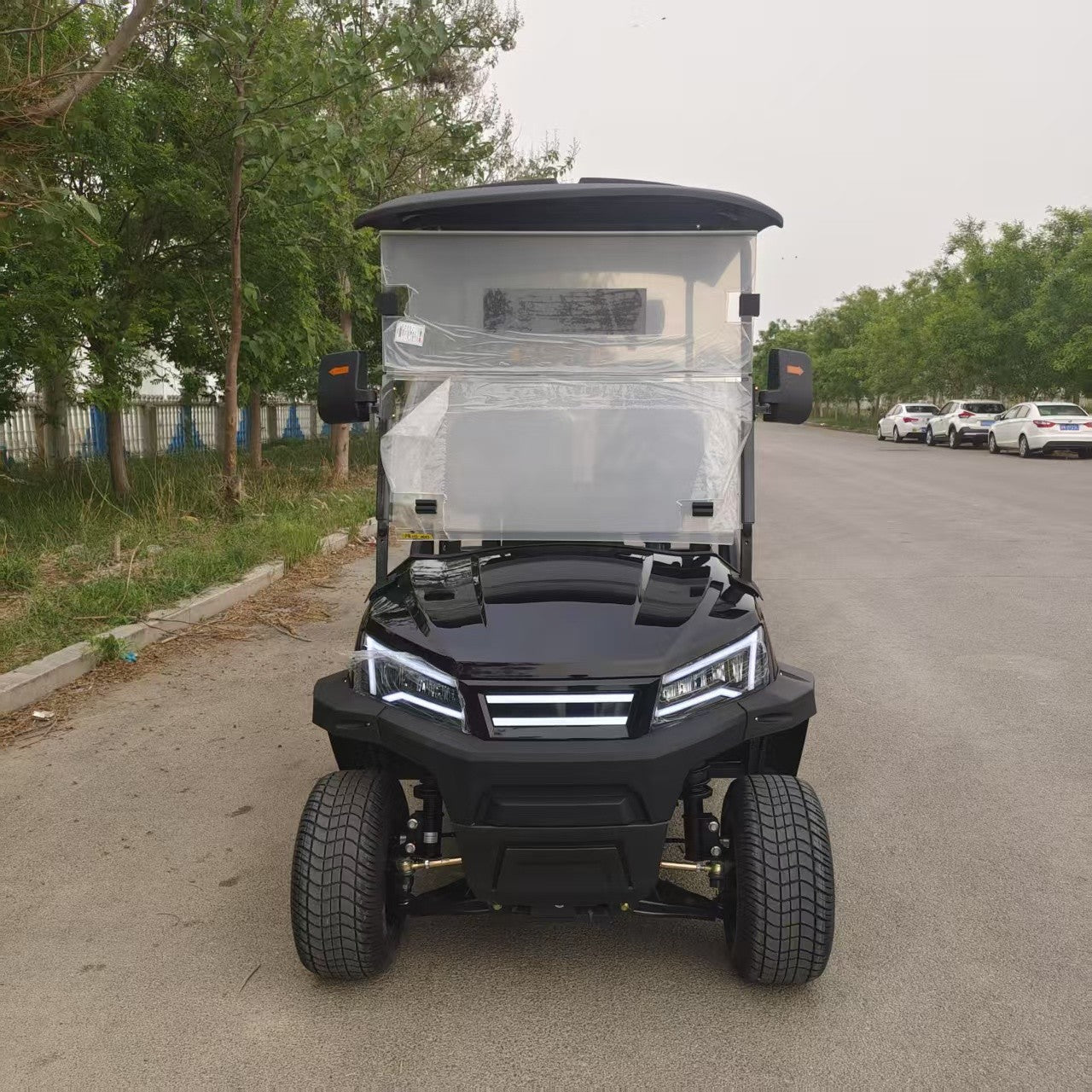 100% Best Quality Best Sellers Handicapped Two Seat Electric Golf Cart Four Wheel Electric Cart With Seat