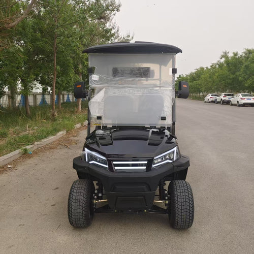 100% Best Quality Best Sellers Handicapped Two Seat Electric Golf Cart Four Wheel Electric Cart With Seat