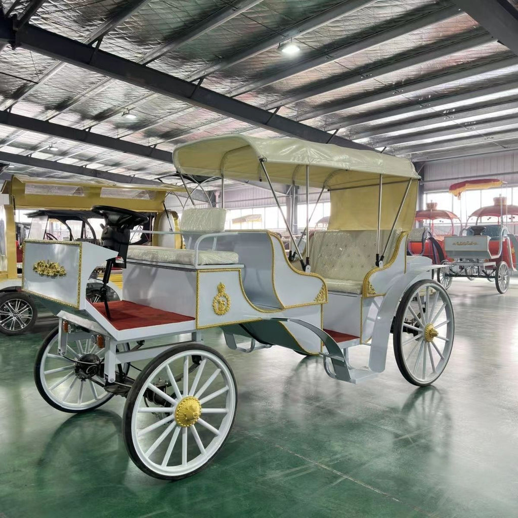 Customized Color Popular Luxury Royal Carriages Electric Classic Royal ...