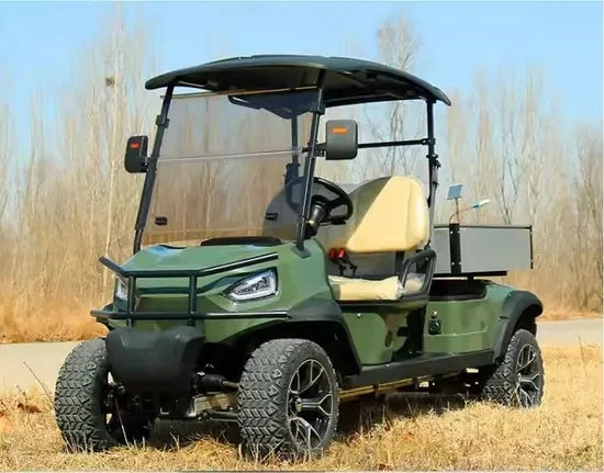 2 Seater Classic Electric Golf Cart with Cargo Box for Sale